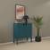 Tenzo Uno 2 Door Petrol Storage Cabinet 76x89cm