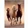 Clementoni Pussel Running Horses