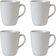 aida Raw Crafted Arctic Mugg 35cl 4st