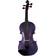 stentor SR1401 Harlequin 4/4 Purple