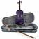 stentor SR1401 Harlequin 4/4 Purple