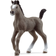 Schleich Horse Club 2023 New Horses, Horse Toys for Girls and Boys Cheval de Selle Francais Foal Horse Toy Figurine, Ages 5