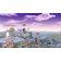 Super Smash Bros. Brawl (Wii)