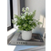 Shein Artificial Plant Pot Decoration For Home Green Artificial Plant