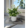 Shein Artificial Plant Pot Decoration For Home Green Artificial Plant