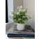 Shein Artificial Plant Pot Decoration For Home Green Artificial Plant