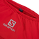 Salomon Pulse Belt - Goji Berry
