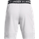 Under Armour Vanish Woven Shorts - Halo Gray/Black
