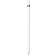 Apple Pencil (1st Generation)