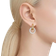 Swarovski Örhängen Dextera – Guld 5668818