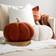 OHS Autumn Pumpkin Complete Decoration Pillows Orange, Beige (25x25cm)