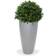 Green4Ever Buxbom 40 cm Konstgjord växt