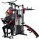 Epsilon Multigym 8000
