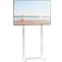 FTIV1025