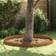 vidaXL Garden Lawn Edging Rusty 450 x 20 cm Weathering Steel