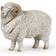 Papo Merino Sheep 51174