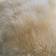 Lambskin Beige 60x90cm