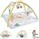 Mattel Fisher Price Sensimals Aktivitetsmatta HRB15