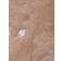 ferm LIVING Taula Ø67x35 cm Rose Soffbord