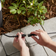 Philips GardenLink Förlängningskabel 24 V Svart Lampdel