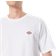 Dickies Mapleton Light Weight T-shirt - White