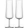 Orrefors Informal Champagneglas 22cl 2stk