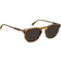 David Beckham DB1160/S EX4/70 - Brown Horn