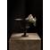 Audo Copenhagen Pavot 20,5 cm Aluminium Brun Skål