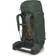 Osprey M's Kestrel 68 Bonsai Green L/XL