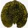Costa Nova Riviera 17.5cm Green Serving Dish 18cm