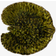 Costa Nova Riviera 17.5cm Green Serving Dish 18cm