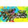 TMNT Arcade: Wrath of the Mutants (Switch)
