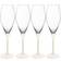 Villeroy & Boch Manufacture Champagneglas Champagneglas 25cl 4stk