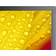 NEC MultiSync M431-2 43" Diagonal Klass