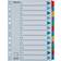 Esselte Index Cardboard with Mylar Reinforced Tabs A4