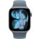 Apple 42mm Sport Band M/L Anchor Blue