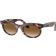 Ray-Ban WAYFARER OVAL havanna