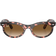Ray-Ban WAYFARER OVAL havanna