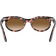 Ray-Ban WAYFARER OVAL havanna