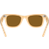 Ray-Ban Wayfarer Change - Randig Brun