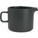 Blomus Pilar Agave Green Kanna 1L