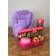 Sistema LunchTime Purple Overshirt 3 pcs