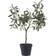 House Nordic Kunstigt Oliventræ Grøn H 61 cm Kunstig plante