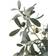 House Nordic Kunstigt Oliventræ Grøn H 61 cm Kunstig plante