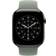 Apple Sololoop Grågrön 46 mm Storlek 12