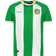 Craft HAMMARBY PRE SEASON JERSEY HIF GREEN/WHITE Dam