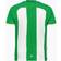 Craft HAMMARBY PRE SEASON JERSEY HIF GREEN/WHITE Dam