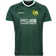 Craft HAMMARBY CTM AWAY MATCHTRÖJA PINE Dam