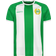 Craft HAMMARBY REPLICA PRE SEASON JERSEY HIF GREEN/WHITE Dam