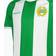 Craft HAMMARBY REPLICA PRE SEASON JERSEY HIF GREEN/WHITE Dam